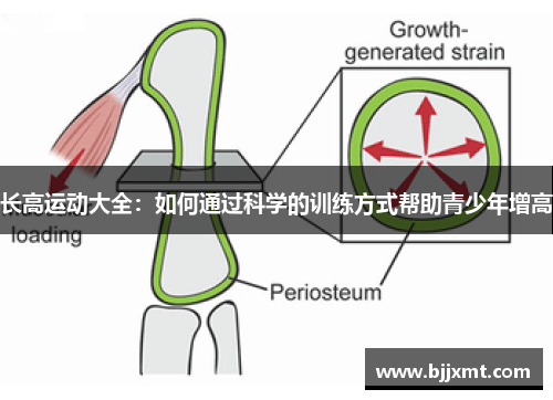 长高运动大全：如何通过科学的训练方式帮助青少年增高